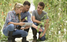 Россельхозбанк помогает активным студентам-аграриям получить опыт работы в отрасли