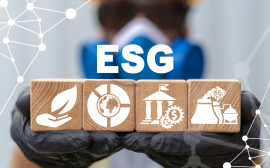 Эксперты объяснили ажиотажную популярность ESG-инвестиций