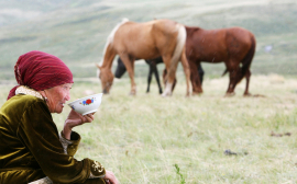 Россельхознадзор ввел запрет на поставки молочной продукции из Киргизии