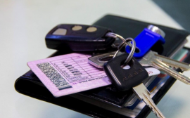 Минцифры подготовило поправки в ПДД, приравнивающие электронное водительское удостоверение к бумажному