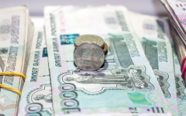 В Подмосковье самозанятые заработали более 340 млрд рублей