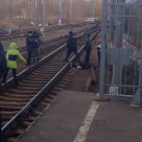 В Подмосковье двое мужчин спрыгнули с платформы под поезд