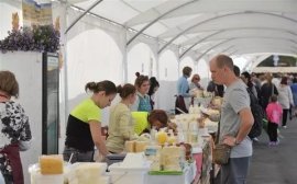 В Самаре на Куйбышева открылась крупнейшая сельскохозяйственная ярмарка