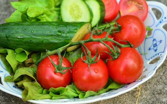 В Подмосковье сбор овощей в теплицах вырос на 24%