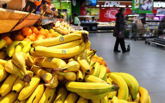 Прекращение поставок бананов из Эквадора сулит новые проблемы для России