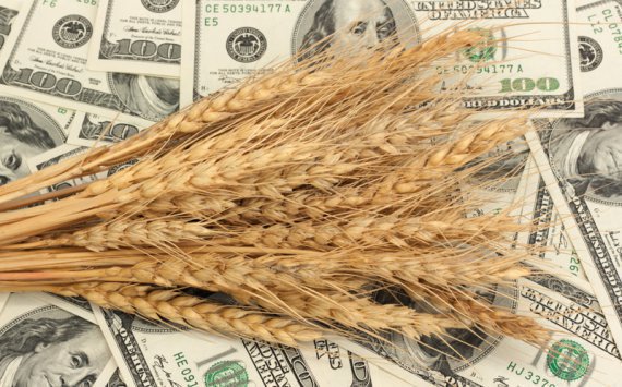 Дворкович допустил увеличение экспорта российской пшеницы в Турцию‍