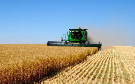 Ущерб аграриев из-за холодного лета может составить до 2,6 млрд рублей