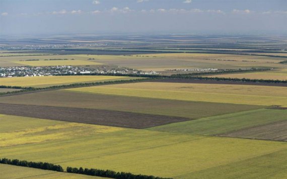 В Хабаровском крае муниципалитеты поделят 30 млн рублей за освоение ДВ гектаров