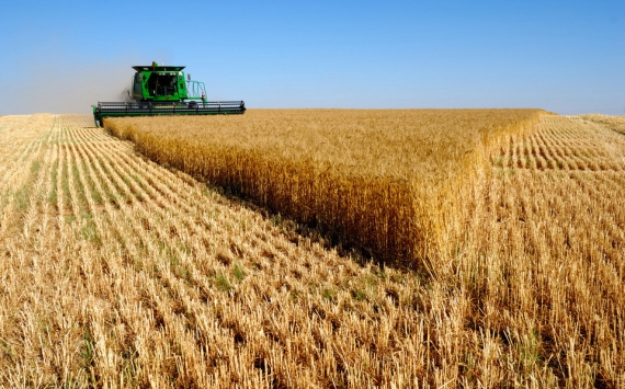 В Татарстане соберут миллионы тонн урожая зерновых