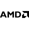 Advanced Micro Devices (AMD)