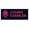 Casino Gambler