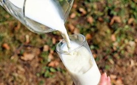 Эксперты РСХБ: повышение информированности потребителей о составе молочных продуктов будет стимулировать рост производства сырого товарного молока в России