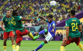 Сборная Камеруна — неудачник чемпионатов мира: история и интересные факты