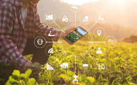 Новый цифровой сервис РСХБ в экосистеме Своё Фермерство позволит удвоить производительность агробизнеса