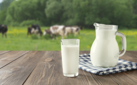 РСХБ: внедрение «генетического лифта» может повысить продуктивность молочной отрасли почти в 1,5 раза