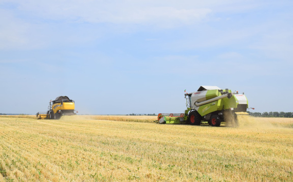 Лето бьет по курам и яровым: по данным ВСК июль – самый опасный для российских аграриев месяц