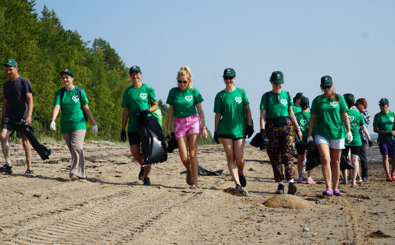 Волонтеры Segezha Group почистили побережье Белого моря