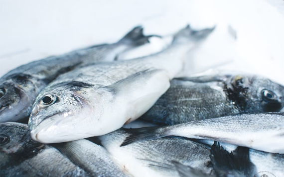 Цены на мороженую рыбу остаются стабильными с начала года