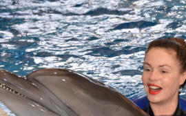 Екатерина Андреева призывает на законодательном уровне запретить держать в неволе дельфинов