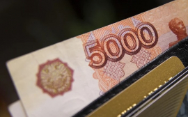 В России самозанятые вывели из «тени» 130 млрд рублей доходов
