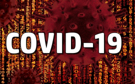 Учёные из Австралии назвали «противоречивый» продукт для борьбы с COVID-19