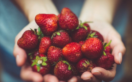 Диетолог Хорол рассказала о пользе сезонных ягод и фруктов