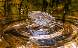 Биохимик Кулешова перечислила 5 проблем, которые решает обычная вода