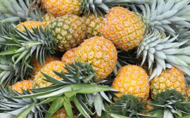 Диетолог Соломатина рассказала об опасности злоупотребления ананасом