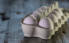 Эксперты рассказали, как влияет на организм употребление по одному яйцу в день