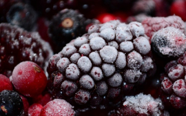 Нутрициолог Назарчук рассказала о пользе замороженных овощей и фруктов