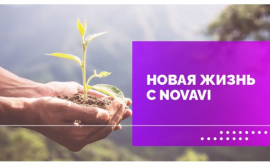 NovaVi: как избавиться от установок, мешающих разбогатеть