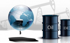 Китайские компании увеличивают закупки российской нефти