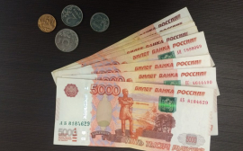 Экономист Делягин рассказал об ожиданиях от цифрового рубля
