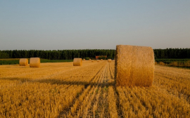 Сельскохозяйственные компании в России жалуют на отсутствие возможности взять кредит на льготных условиях