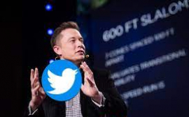 Птичку жалко: Илон Маск провел ребрендинг своей социальной сети
