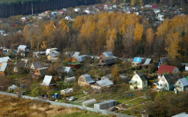 Дачники жалуются на поправки в закон об общем имуществе СНТ