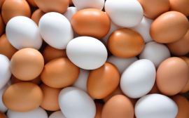 Дмитрий Патрушев выразил надежду на снижение цен на яйца после Нового года