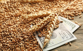 Отечественные аграрии планируют увеличить экспорт зерновых