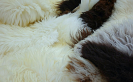 В Долгопрудном более 20 млн рублей вложат в производство меховых изделий