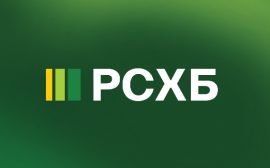 Опрос РСХБ: 61% россиян совершили хотя бы одну спонтанную покупки на новогодних каникулах