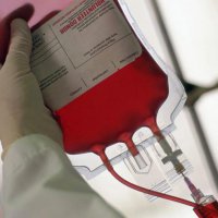 Ученые через несколько лет испытают искусственную кровь