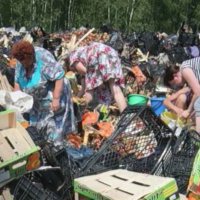 В Госдуму внесён законопроект об отправке санкционных продуктов в Донбасс
