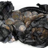 В Ленобласти археологи обнаружили клад из серебряных монет эпохи Ивана Грозного