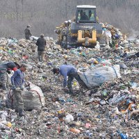 Вывоз мусора в Подмосковье сделают отдельной коммунальной услугой