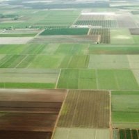 Галушка: С 2017 года любой россиянин сможет получить гектар земли