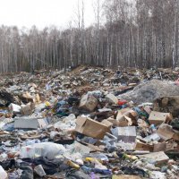В 2017 году россиян обяжут платить за вывоз мусора 