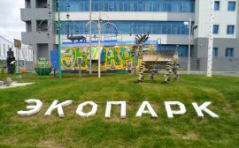 В Балашихе на благоустройство центрального парка потратят 350 млн рублей