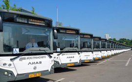 Минтранс Московской области закупил более 1,7 тыс новых автобусов
