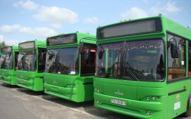 Власти Ростова потратят на новые автобусы 2,3 млн рублей
