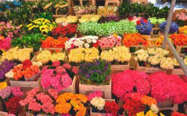 Промсвязьбанк запустил спецпроект о цветочном бизнесе в России